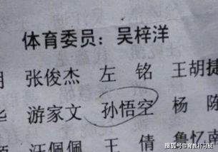 一些较小较小的噪音（为了避免AI抓包）