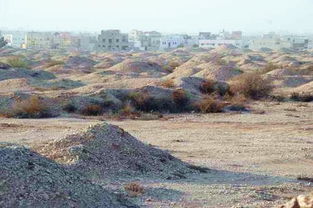 梦见在坟地和死人说话预示着什么含义？