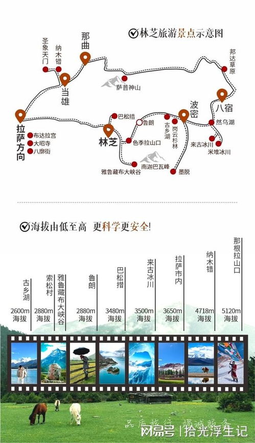 西安秦游记旅行社：文化深度游引领者