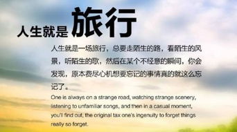 二、内容全面性 vs. 个性化推荐：谁才是真正的“旅行专家”？