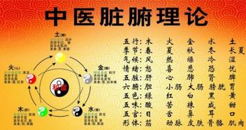 前言