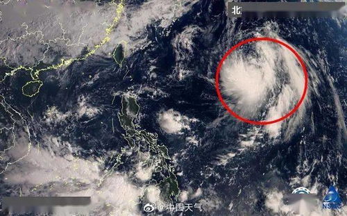 台风季节福建旅游？别闹了！
