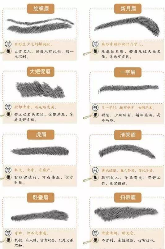 概率论视角下的解读