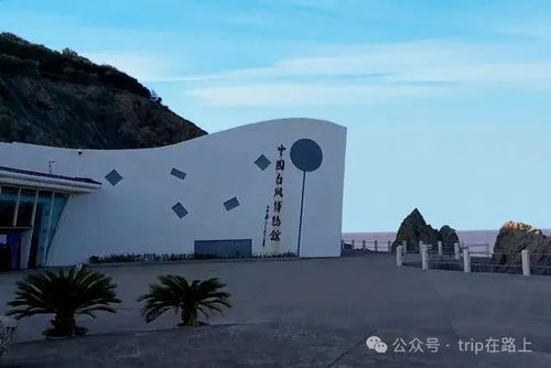 5. 岱山岛：除了风大啥也没有