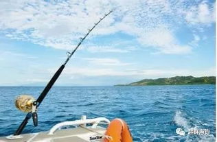 濮水垂钓之术：兼论生肖、 星象与风水之蕴