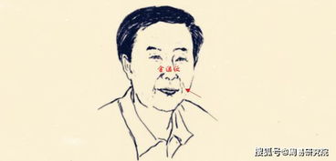 1. 鼻子挺拔丰厚：财帛宫的关键