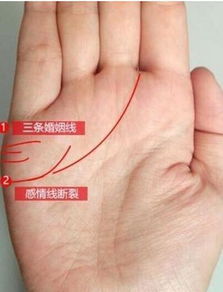 一、 感情线支线很多