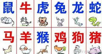 属猪的婚姻配对排名具体是什么意思？