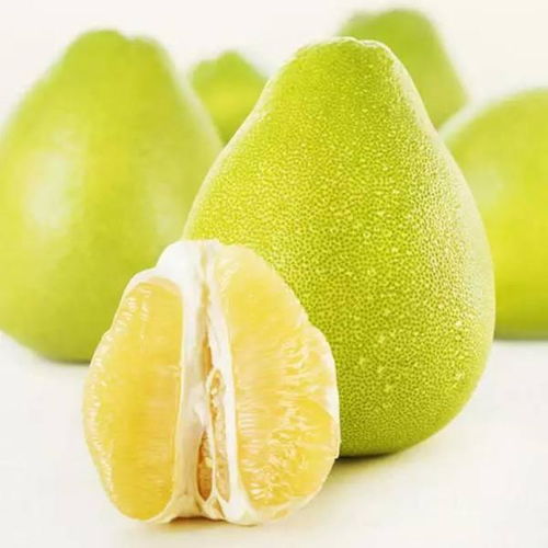 二、 女同胞做梦摘柚子的魔幻解析