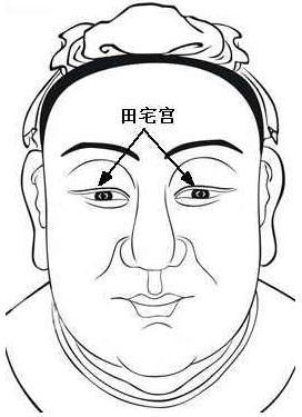 天呐！这些鼻子会让人破产