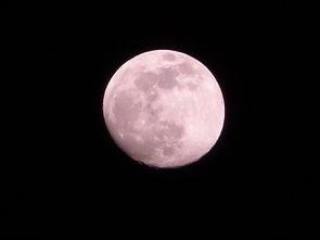 月亮究竟对应哪个生肖？它准确代表的是哪一种生肖？