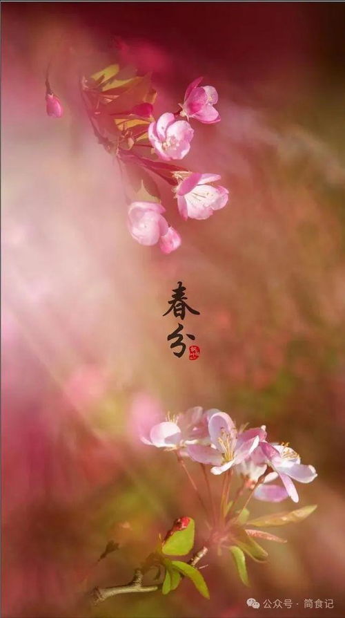 春分时节的文化寓意与哲学象征