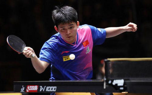 二、 生肖运势对运动员表现的影响分析