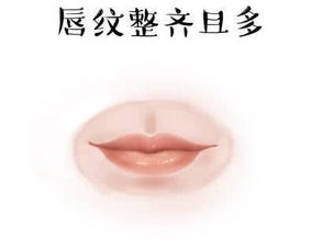 三、 面相学视角下的心理状态与行为剖析
