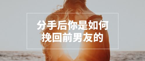 ：分手后情感修复的理论框架与实践意义