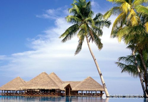 去海南旅行对应的生肖是什么生肖？旅行生肖的含义是什么？