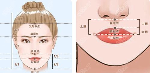 1.3 人中与嘴唇：内在冲突的外部投射