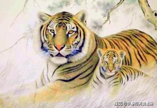 a）瑾+磊——瑾磊