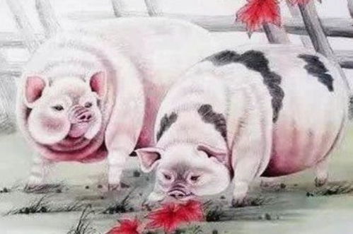 猪猪战队：第六感开挂，捡钱捡到手软