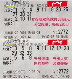 ——论2025年5月15日理发吉日之学术价值