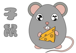 1997年属鼠的人是什么命，这个命理含义具体是什么？