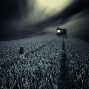 震惊！关于梦见干草的那些不可告人的秘密