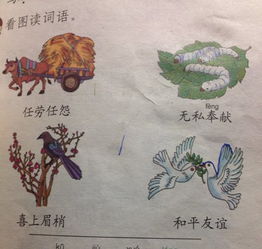 君字代表什么生肖？琴挑文君中的生肖动物是什么意思？