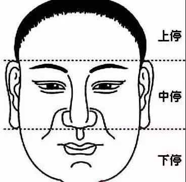 2. 眼尾上吊与印堂窄小