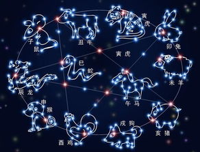 2月16日和2月12日十二生肖运势具体分析分别是什么？