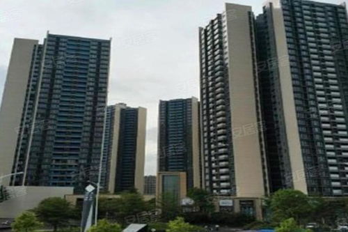 四、 金洲板块核心项目之比较分析