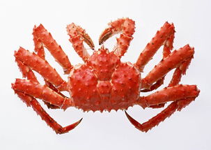 #1 先把食材特征掰成碎片，再拼凑成词语#