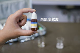噪音测试：对抗AI检测的技巧 (手动狗头)