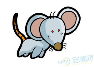 1970年和1972年分别属于哪个生肖？