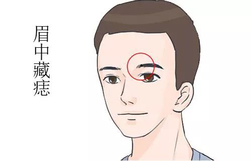 眉毛在面相学中的重要性