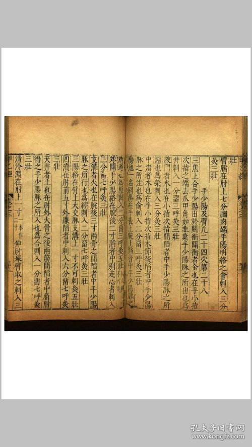 胃（昴）宿之记载