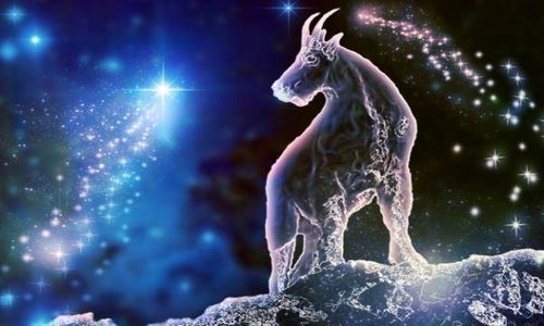 一、 星象概述及其对水瓶座认知活动的潜在影响