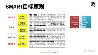 3. 明确分工