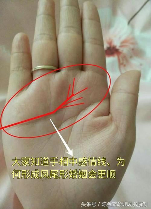 1.1 感情线分叉与爱情生活的关联性