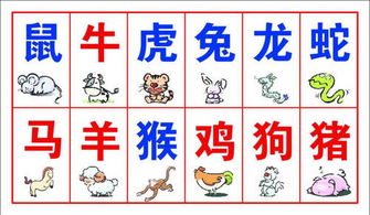 生肖与五行配对的传统方式观念解析