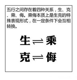 相生循环：生命力的传递与延续