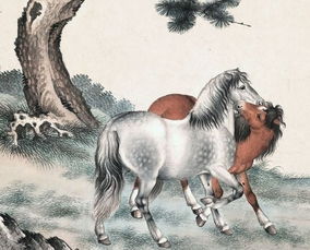 属马人的善良性格是优点吗，这究竟意味着什么？