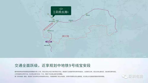 实证分析：以深圳市宝安区虾公地墓地为例