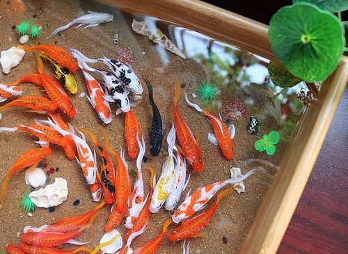 8月底，哪些生肖嫩鱼跃龙门，苦尽甘来生活水平蒸蒸日上呢？