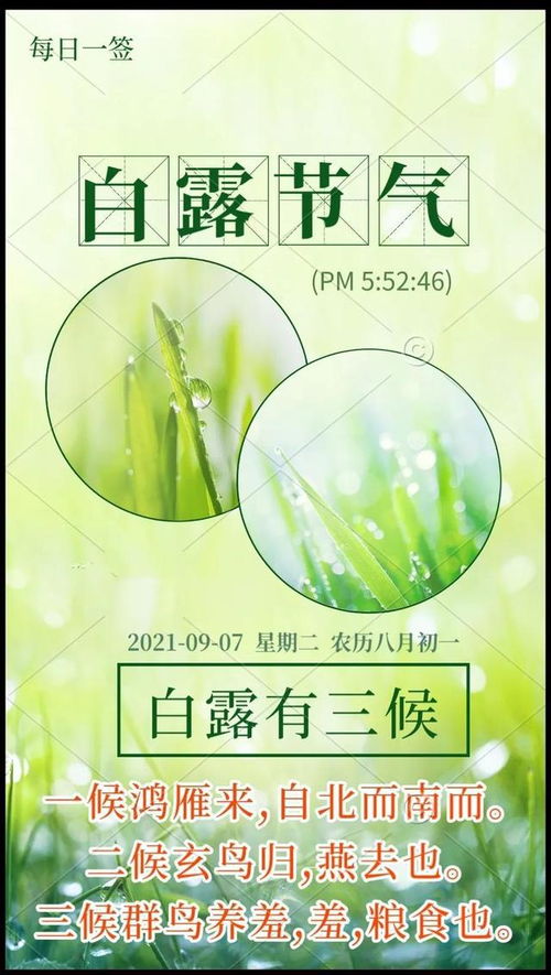 ：时空节点与动土仪式的宇宙秩序考量