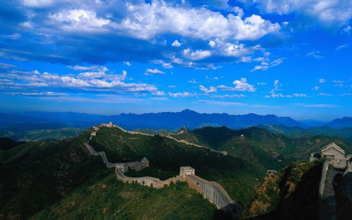 麦玲玲究竟有没有嫩力堪坟山风水？