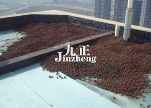 蓝色屋顶对隔热和风水有影响吗？