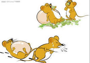 属鼠的看过来！大忽悠专场