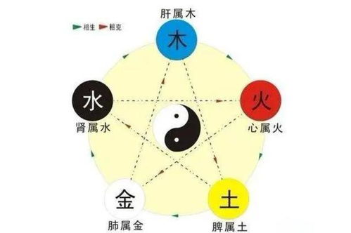 五行属水的含义、寓意和象征是什么？