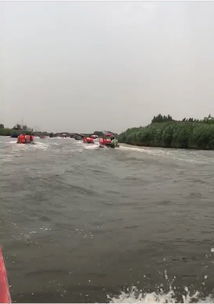 坐船钻芦苇荡差点没出来