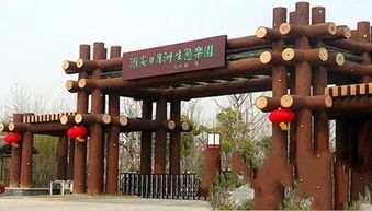 为什么选择日月洲景区？